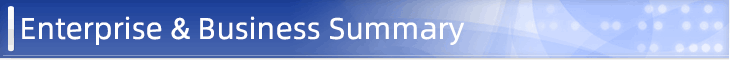Enterprise & Business Summary