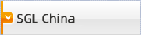 SGL China