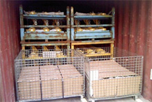 Sea container transport